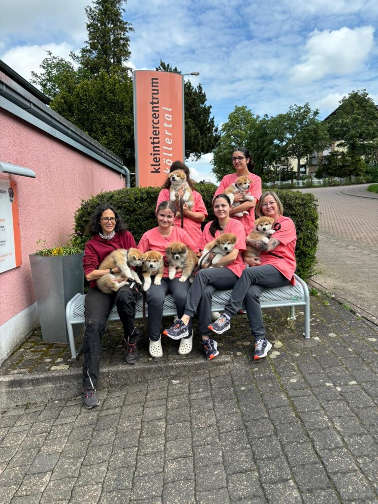 Die 7 Zwerge